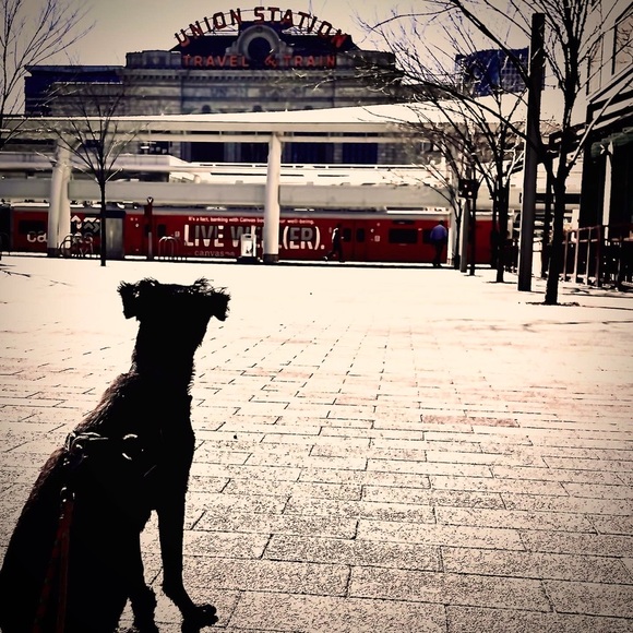 STYLIST.  MOTHER.  CREATIVE. - Picture 7 of 10